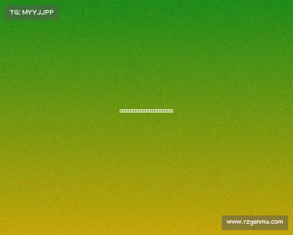 网球比赛全流程详解从热身到决胜局精彩瞬间解析